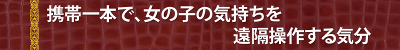 携帯一本で、女の子の気持ちを遠隔操作する気分