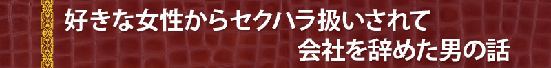 好きな女性からセクハラ扱いされて会社を辞めた男の話