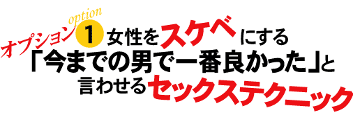 オプション【1】女性をスケベにする「今までの男で一番良かった」と言わせるセックステクニック